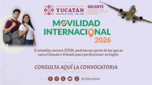 Programa de Movilidad Internacional 2026